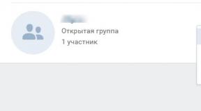 როგორ წაშალოთ თქვენი საკუთარი VKontakte ჯგუფი: ნაბიჯ-ნაბიჯ ინსტრუქციები